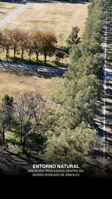 WhatsApp Image 2025-06-30 at 8.17.38 AM